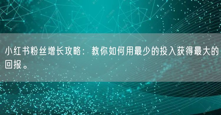 小红书粉丝增长攻略：教你如何用最少的投入获得最大的回报。