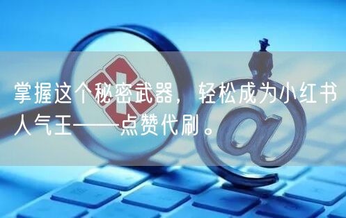 掌握这个秘密武器，轻松成为小红书人气王——点赞代刷。