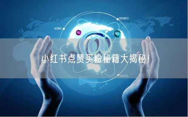小红书点赞买粉秘籍大揭秘！