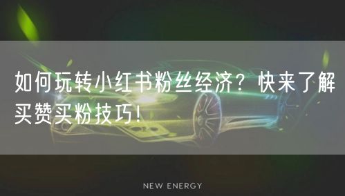 如何玩转小红书粉丝经济？快来了解买赞买粉技巧！