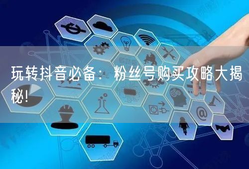 玩转抖音必备：粉丝号购买攻略大揭秘!