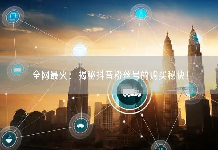 全网最火：揭秘抖音粉丝号的购买秘诀！