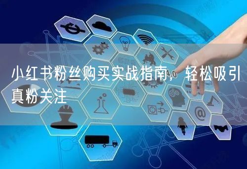 小红书粉丝购买实战指南，轻松吸引真粉关注