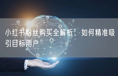 小红书粉丝购买全解析：如何精准吸引目标用户