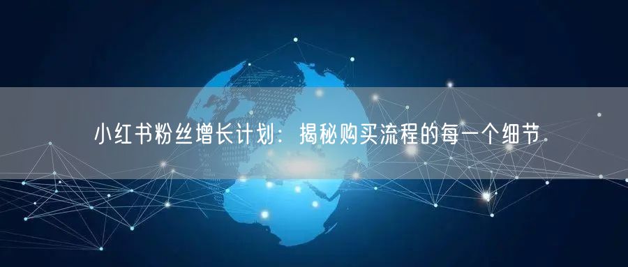 小红书粉丝增长计划：揭秘购买流程的每一个细节