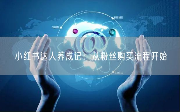 小红书达人养成记：从粉丝购买流程开始
