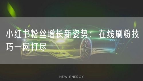 小红书粉丝增长新姿势：在线刷粉技巧一网打尽