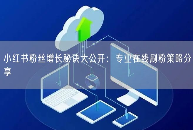 小红书粉丝增长秘诀大公开：专业在线刷粉策略分享