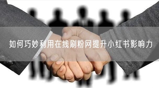 如何巧妙利用在线刷粉网提升小红书影响力