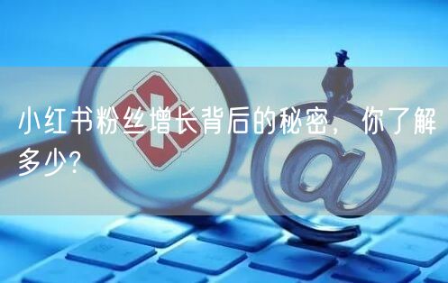 小红书粉丝增长背后的秘密，你了解多少?