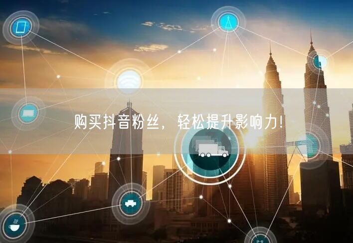 购买抖音粉丝，轻松提升影响力！