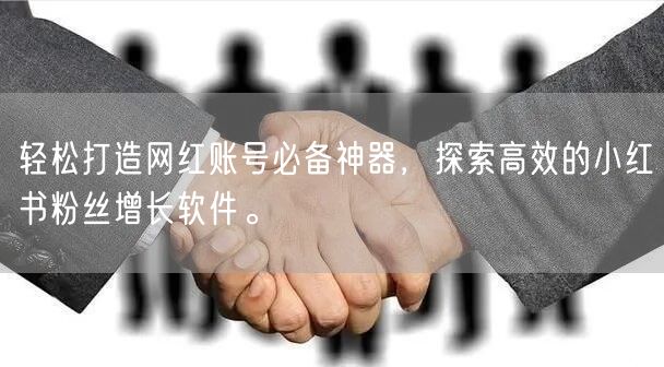 轻松打造网红账号必备神器，探索高效的小红书粉丝增长软件。