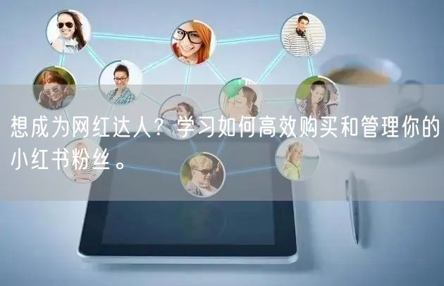 想成为网红达人？学习如何高效购买和管理你的小红书粉丝。