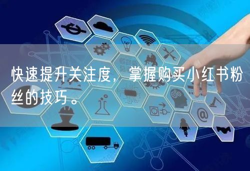 快速提升关注度，掌握购买小红书粉丝的技巧。