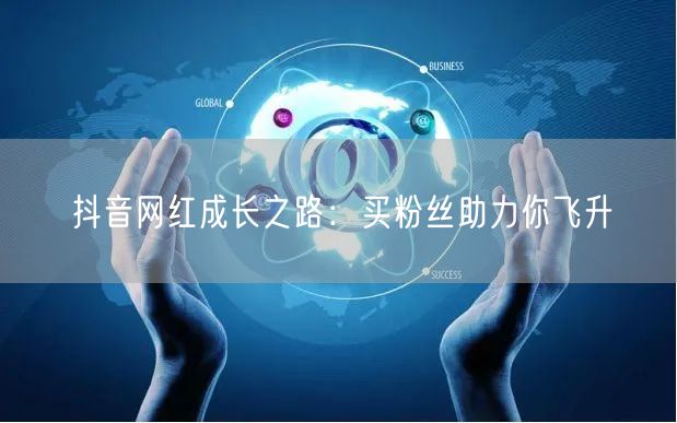 抖音网红成长之路：买粉丝助力你飞升