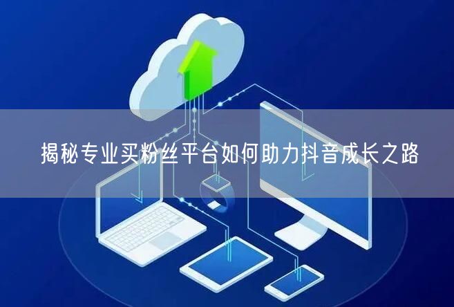 揭秘专业买粉丝平台如何助力抖音成长之路
