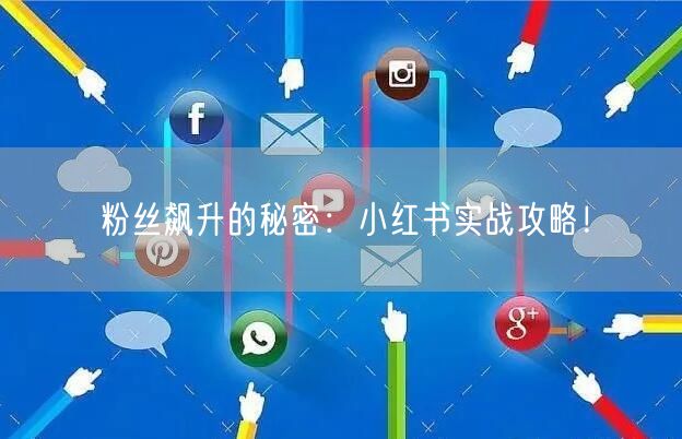 粉丝飙升的秘密：小红书实战攻略！