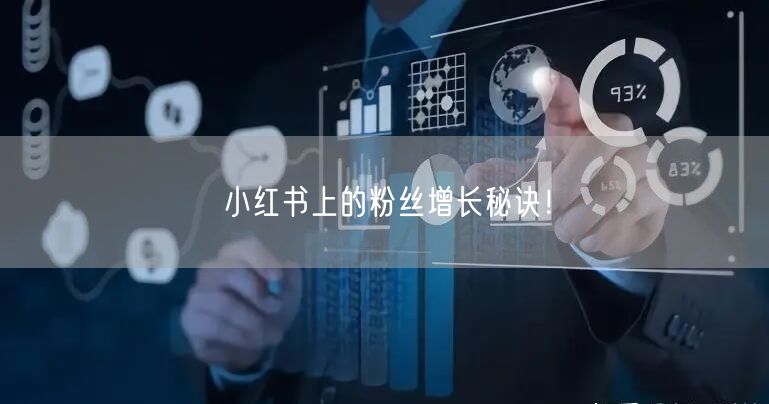 小红书上的粉丝增长秘诀！