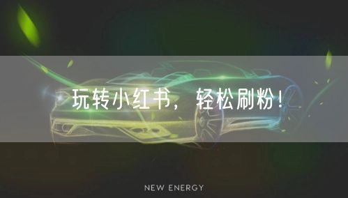 玩转小红书，轻松刷粉！