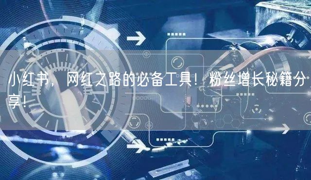 小红书，网红之路的必备工具！粉丝增长秘籍分享！