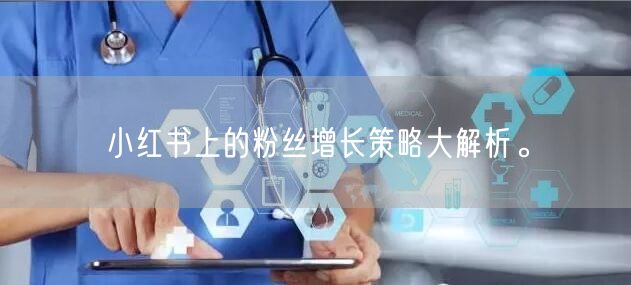 小红书上的粉丝增长策略大解析。