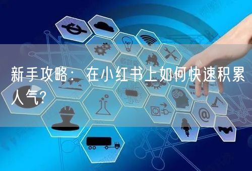新手攻略：在小红书上如何快速积累人气?