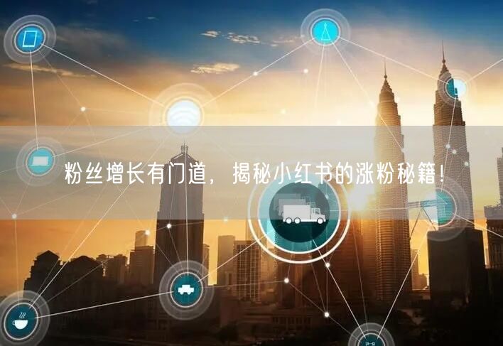 粉丝增长有门道，揭秘小红书的涨粉秘籍！