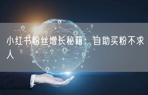 小红书粉丝增长秘籍：自助买粉不求人