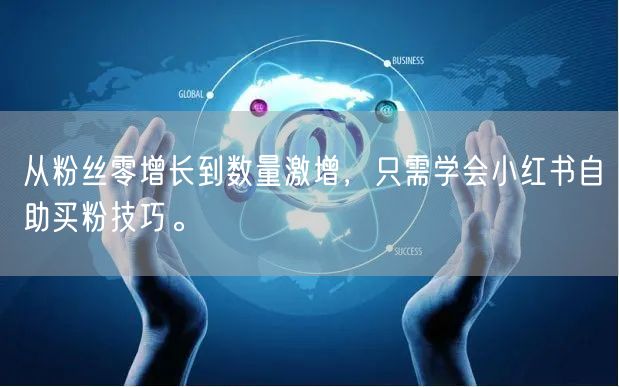 从粉丝零增长到数量激增，只需学会小红书自助买粉技巧。