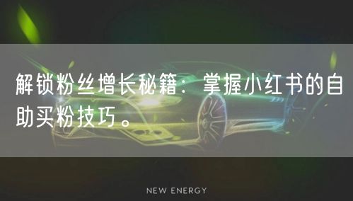 解锁粉丝增长秘籍：掌握小红书的自助买粉技巧。