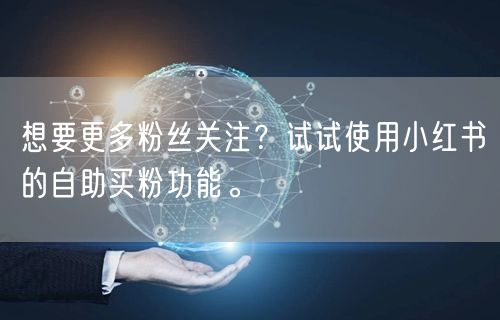 想要更多粉丝关注？试试使用小红书的自助买粉功能。