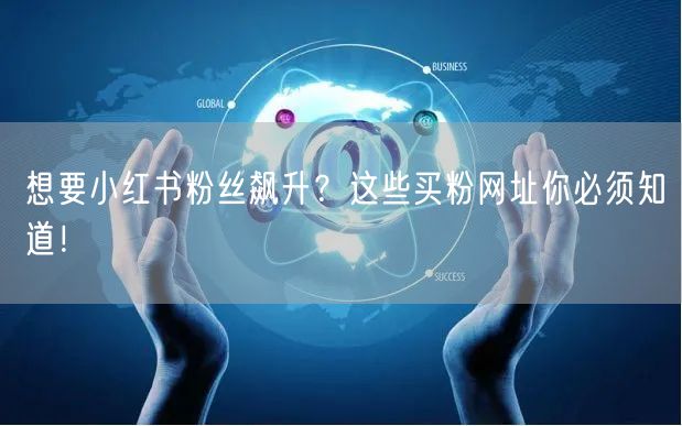 想要小红书粉丝飙升？这些买粉网址你必须知道！