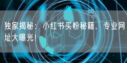 独家揭秘：小红书买粉秘籍，专业网址大曝光！