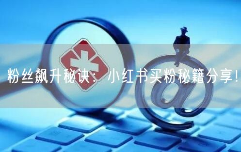 粉丝飙升秘诀：小红书买粉秘籍分享！