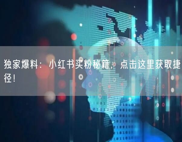 独家爆料：小红书买粉秘籍，点击这里获取捷径！