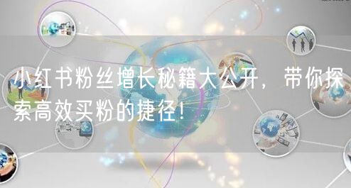 小红书粉丝增长秘籍大公开，带你探索高效买粉的捷径！