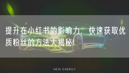 提升在小红书的影响力，快速获取优质粉丝的方法大揭秘!