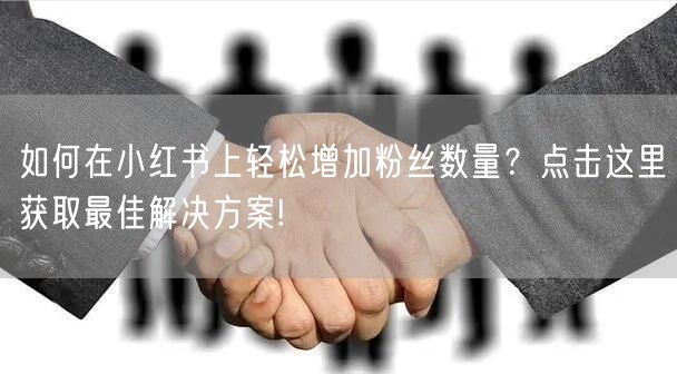 如何在小红书上轻松增加粉丝数量？点击这里获取最佳解决方案!