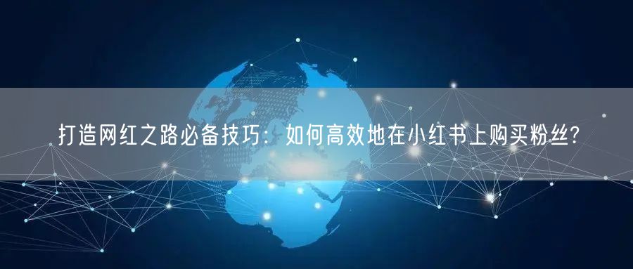 打造网红之路必备技巧：如何高效地在小红书上购买粉丝?