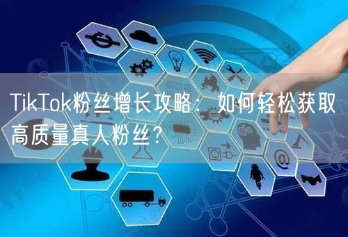 TikTok粉丝增长攻略：如何轻松获取高质量真人粉丝？